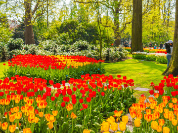 Brusselse Floraliën