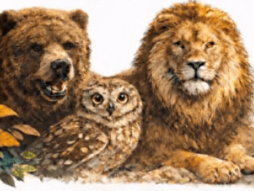 Dieren Natuurhulpcentrum