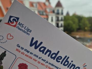 wandelbingo