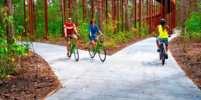 Activiteit E-Fietsen door de bomen
