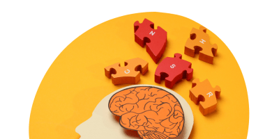 Workshop MS & cognitie Wilrijk - houten figuur van een hoofd, oranje brein en puzzelstukjes erboven