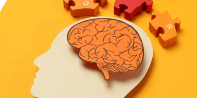 Workshop MS & cognitie