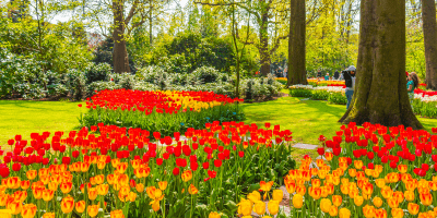 Brusselse Floraliën