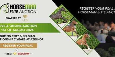 horseauction
