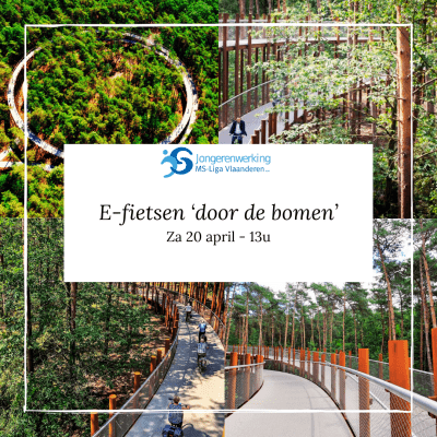 Activiteit E-Fietsen door de bomen met prachtige uitzichten van het parcours