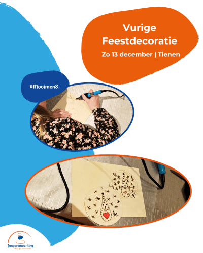 Vurige Feestdecoraties affiche