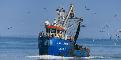 Uitstap Nieuwpoort Diksmuide