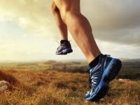 Fotos voorbereiding Prof Bart - trail running