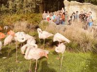 Een blik op de activiteiten van onze afdelingen - Planckendael