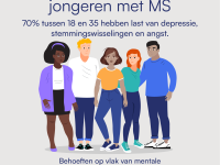 Foto album IMSS de impact van MS symptomen Belgie