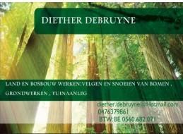 Diether Debruyne