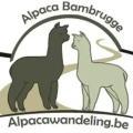 Logo Alpaca Bambrugge
